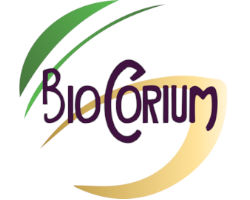 BioCorium : refonte de site et version anglaise